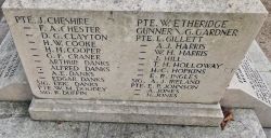 4. Names Panel 2